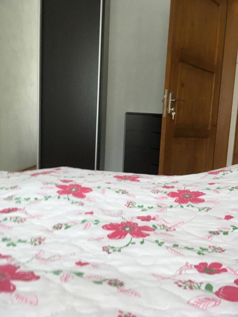 Apartaments In Karpaty Mizhhirya  Exterior foto
