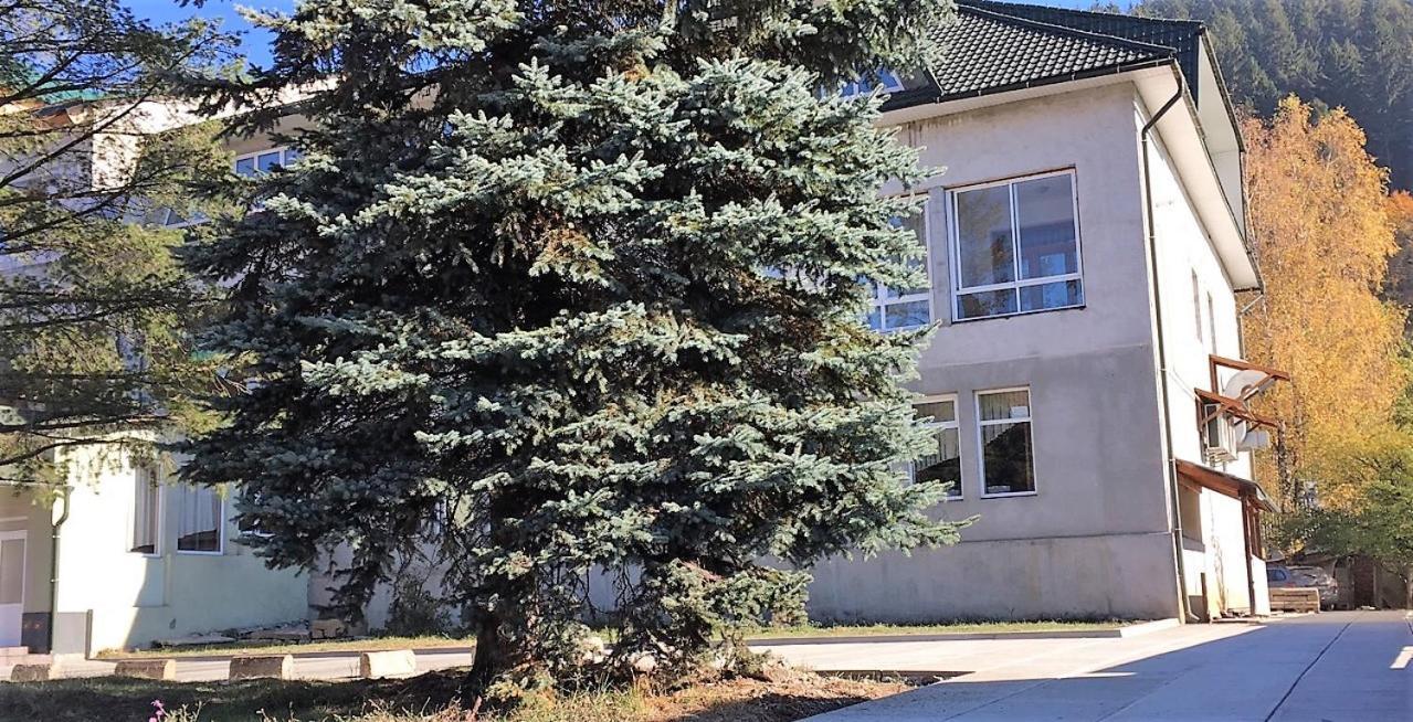 Apartaments In Karpaty Mizhhirya  Exterior foto